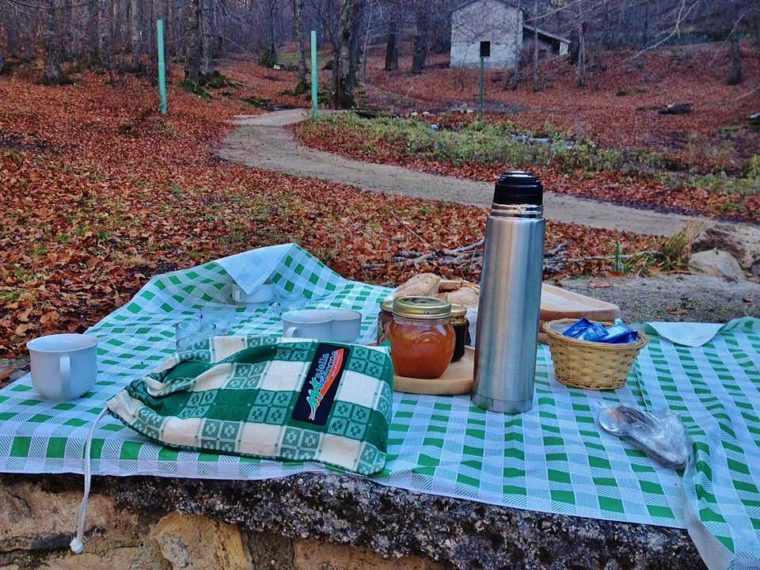 colazione nei boschi della Majella