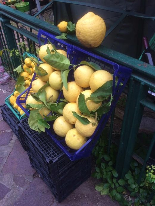 limoni giganti sentiero dei limoni