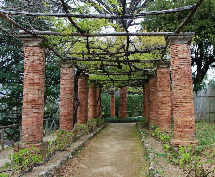 viale delle Ortensie