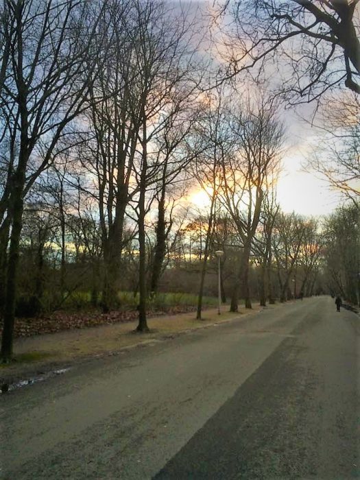 tramonto a Voldelpark