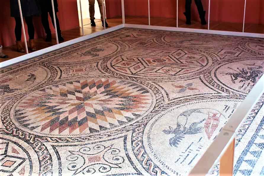 mosaico museo Lucera