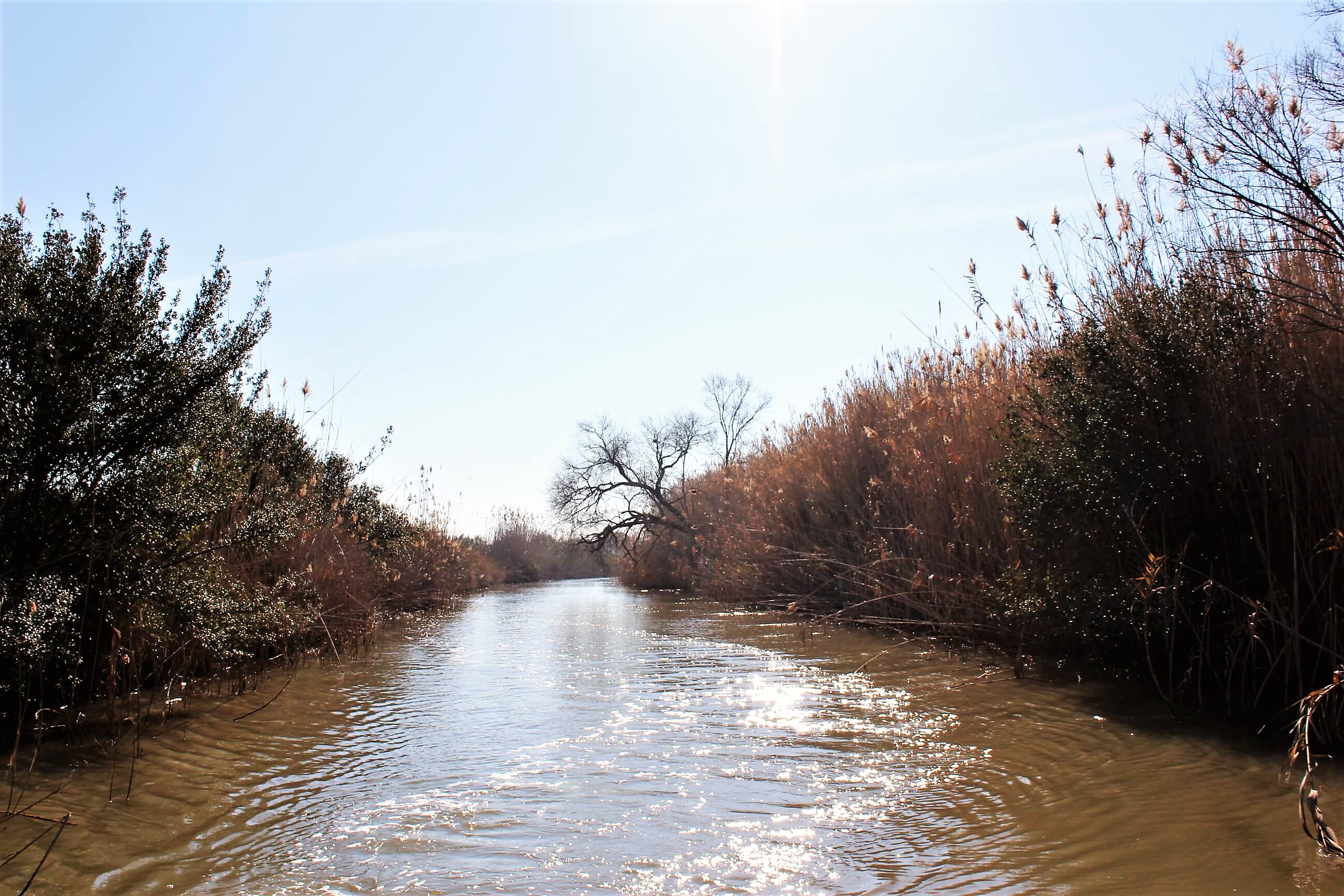 Canale di Acquarotta Lesina