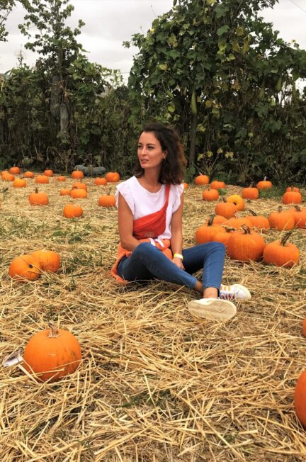 pignataro maggiore pumpkin patch